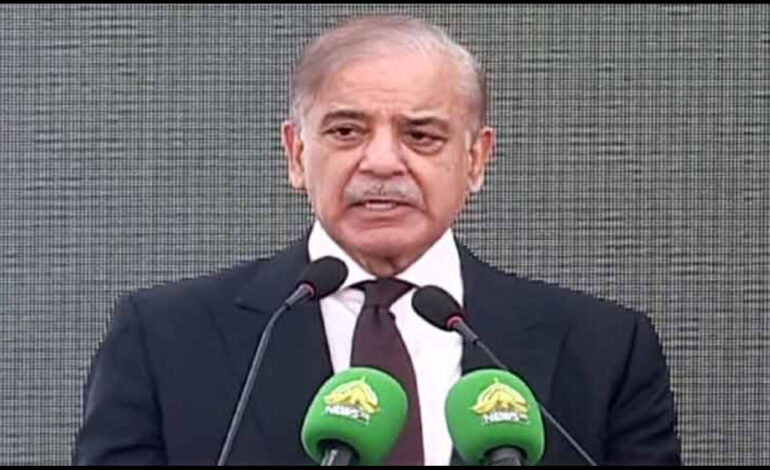  PM Shehbaz Sharif Labels Bushra Bibi’s Comments on Saudi Arabia as Anti-Pakistan