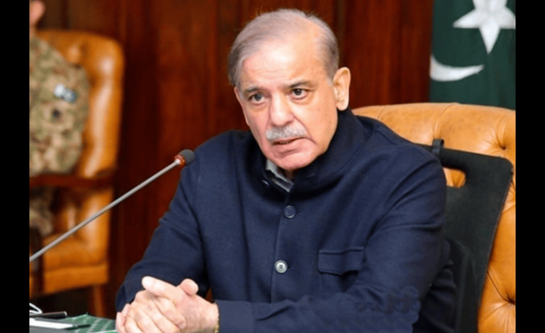  PM Shehbaz Reaffirms Security Measures for Chinese Nationals in Pakistan