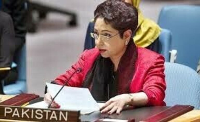  US Sanctions Will Not Impact Pakistan’s Missile Program: Maleeha Lodhi