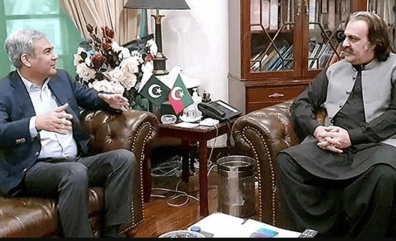  Interior Minister Assures Khyber Pakhtunkhwa Chief Minister of Full Support for Peace